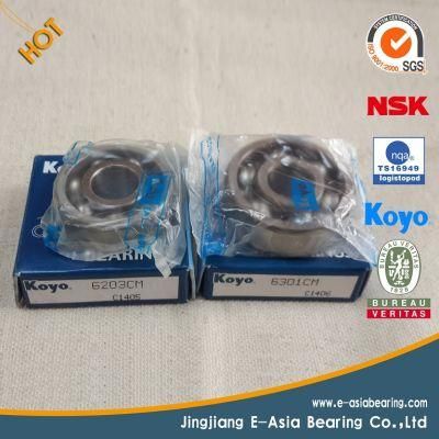 Ceramic Bearings Ceramic Ball Bearing