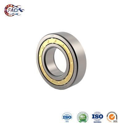Xinhuo Bearing China Axial Bearing OEM 6006z N311e Split Cylindrical Roller Bearing