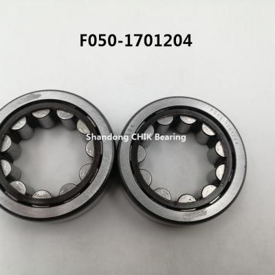 NSK F050-1701204 Auto Bearing Cylindrical Roller Bearing