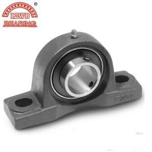 ISO ---Pillow Block Bearing Uct Series (UCP201-UCP217)