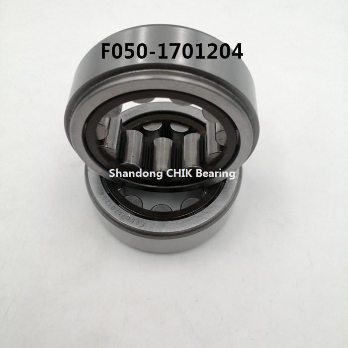 NSK F050-1701204 Auto Bearing Cylindrical Roller Bearing