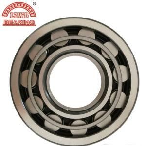 High Precision Cylindrical Roller Bearing (NU313)
