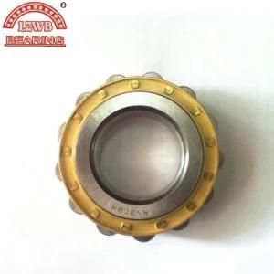 Most Competitive Price Fast Delivery Cylinder Roller Bearing (RN309M)