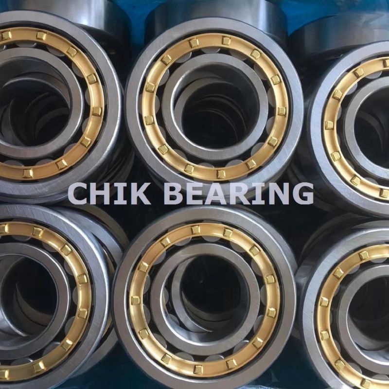 High Load Capacity Single Row Cylindrical Roller Bearings (NJ1013)