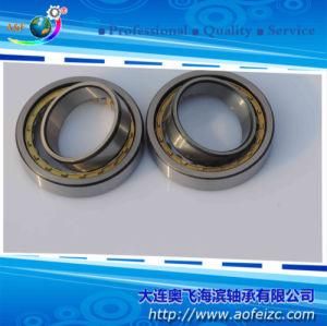 Cylindrical Roller Bearing NU1014M Roller Bearings