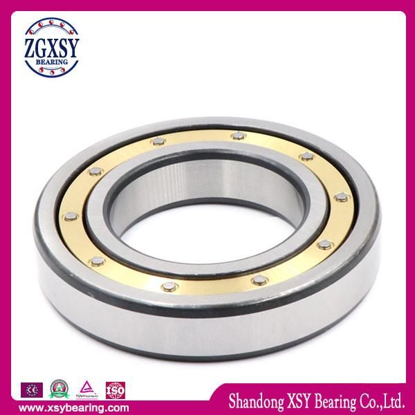 Deep Groove Ball Bearing 6205 6204 6203 6202 6201 Bearing