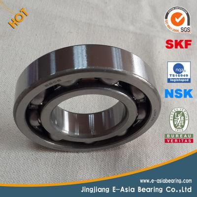 Price List Bearings with China Zwz Bearing
