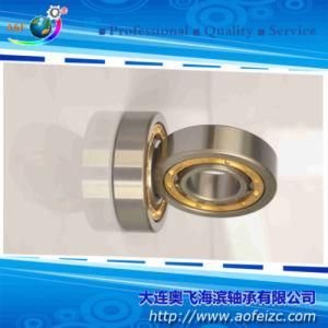 Cylindrical Roller Bearings Bearing NU312M Roller Bearings