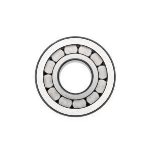 Nnf 5010 Adb-2lsv Full Complement Cylindrical Roller Bearing Manufacturer