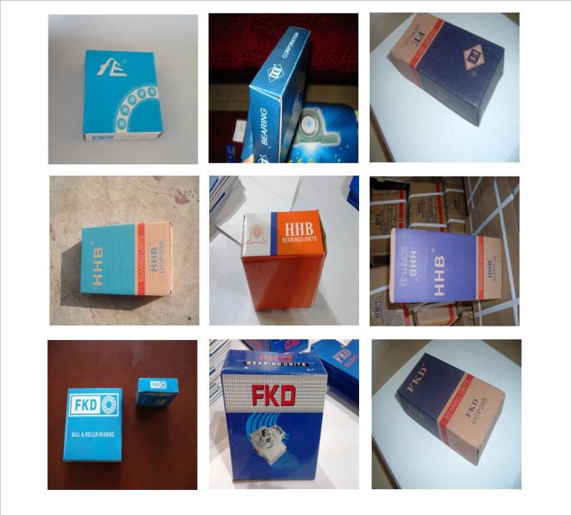 Fkd/Hhb Pillow Blocks, Insert Bearings Safl 204 with Ht200 Housing (3202 2Z UCFL204 UCT207 UK207)