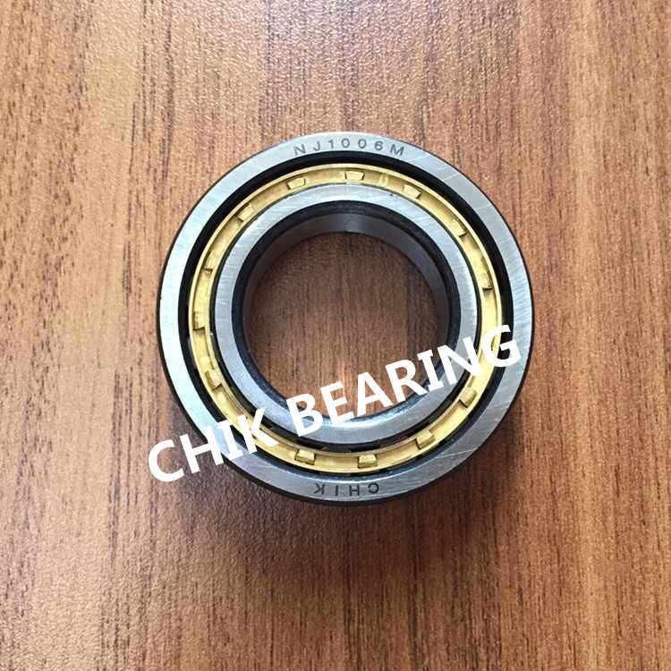 High Precision Double Row Cylindrical Roller Bearings for Machines Nj1006