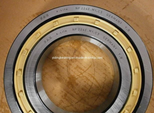 Cylindrical Roller Bearings N1010k Nn3010k