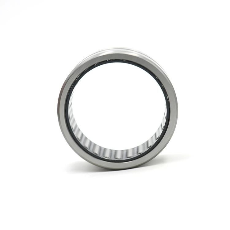Single Track Needle Roller Bearing Nk12/12 Nki12/16 Nki12/20 Na4901 Nk12/16 Na6901 Na4901 Na4901 Nao12X24X13 Nao12X28X12 Rnao12X22X12
