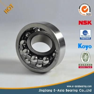 Self-Aligning Ball Bearing 1309k+H309