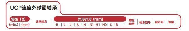 Pillow Block Bearing, Insert Bearing (PCJ 60, PCJ45) G10, Zv2, Zv3, P6, P5