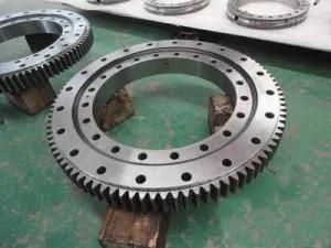 E. 695.32.15. D. 1 Slewing Bearing/Slewing Ring/Turntable Bearing