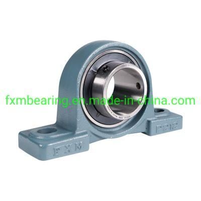 Insert Bearing with Housing UCP300 Series UCP305/UCP306/UCP307/UCP308/UCP310/UCP328