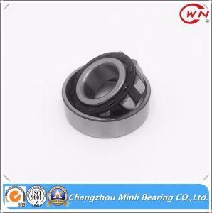China Cylindrical Roller Bearing with High Quality