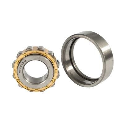 China Factory Cylindrical Roller Bearing Ncf2207