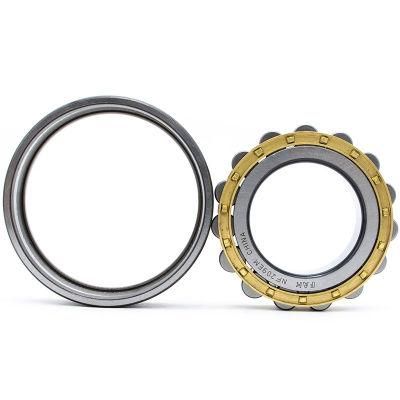Hot Sale Cylindrical Roller Bearing Nu309 Fak Bearing Nu309 Ecp