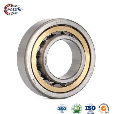 Xinhuo Bearing China Bearing ODM Diameter Bearing 6900 N206e Cylindrical Taper Roller Bearing
