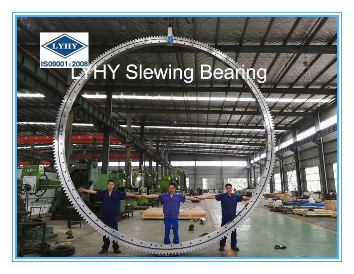 High Quality 42CrMo4 Slewing Ring Bearing Slewing Gear 01-3031-00