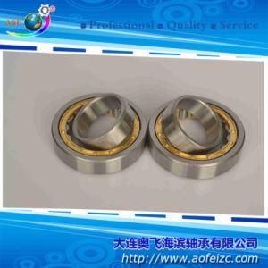 Aa&F Brand NU NN NJ All Series Cylindrical Roller Bearing (NU205M)