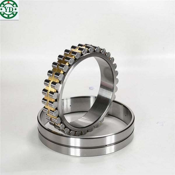 NSK 30*55*19mm Double Row Cylindrical Roller Bearing Nn3006-as-K-M-Sp
