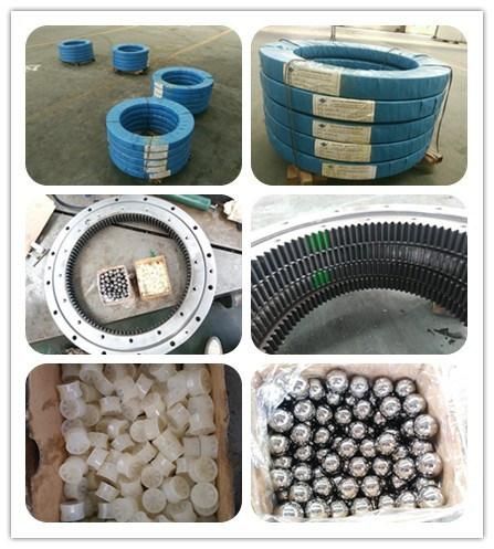 02-0308-01 Granulator Internal Swing Bearing Slewing Ring Bearing