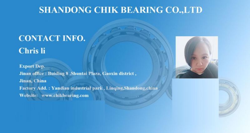 Roller Bearing Distributor of NTN Timken NSK SKF NACHI Koyo IKO Rolling Bearing 32205 32206 32207 32208 32209 32210 32211 32306 32307 for Motor Vehicle