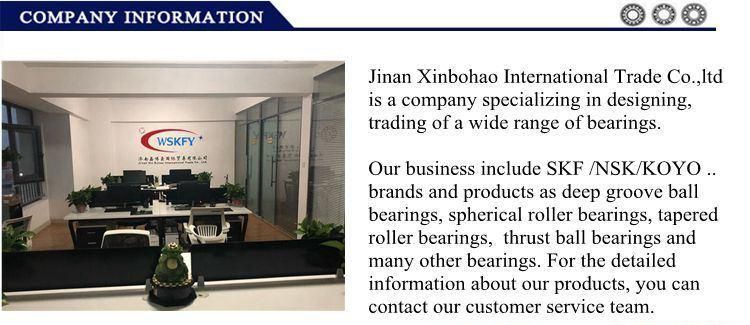 Durable in Use Printing Machinery Parts Bearing NTN NSK Koyo THK IKO Na6914 Na6915 Na6916 Needle Roller Bearing
