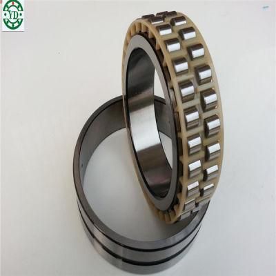 NSK 30*55*19mm Double Row Cylindrical Roller Bearing Nn3006-as-K-M-Sp