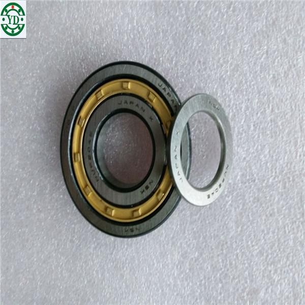 NSK Bearing Nj312 Cylindrical Roller Bearings