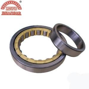 Stable Quality Manufacturing Cylinder Roller Bearing (nup313)