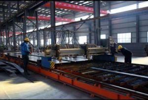 Fiber Laser Scribing Machine Pedb-10HD /20HD