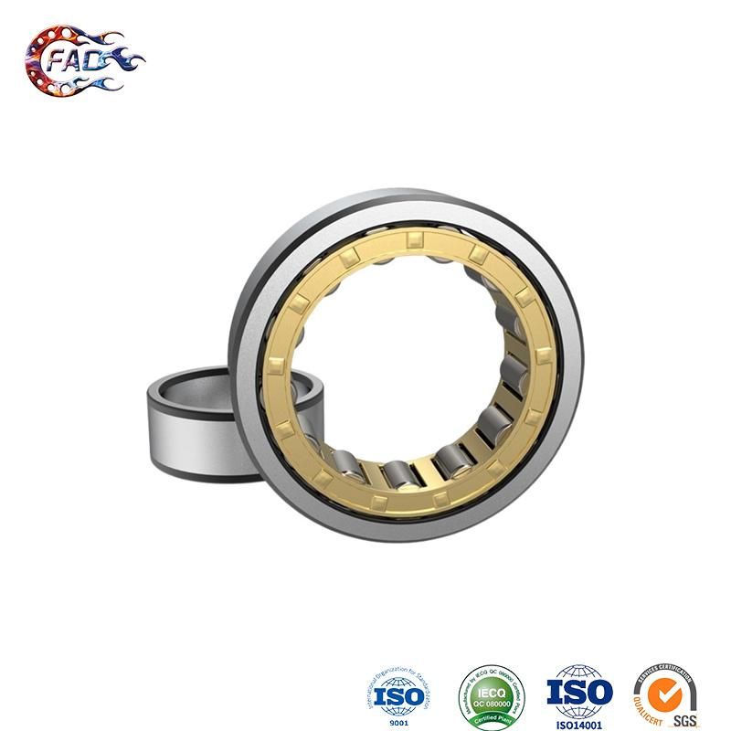 Xinhuo Bearing China 6202z Bearing Factory 625z Bearing Nu309e Double Row Cylindrical Roller Bearing