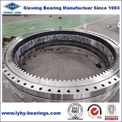Internal Teeth Turntable Bearing 162.45.2510 Roller Slewing Ring Bearing 162.45.2654