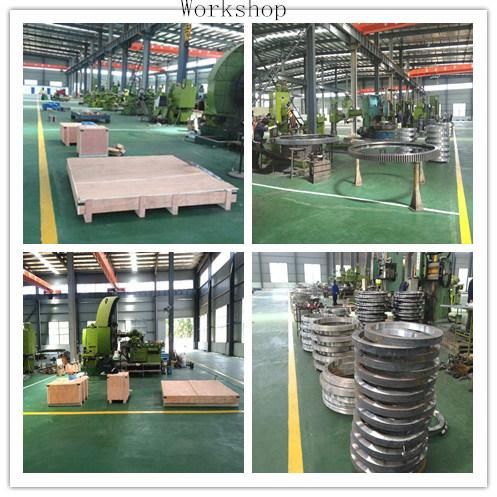5000mm Slewing Bearing for Harbour Crane 32-50 4750/2-07595