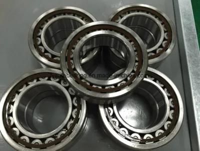 Cylindrical Roller Bearing Nn3006