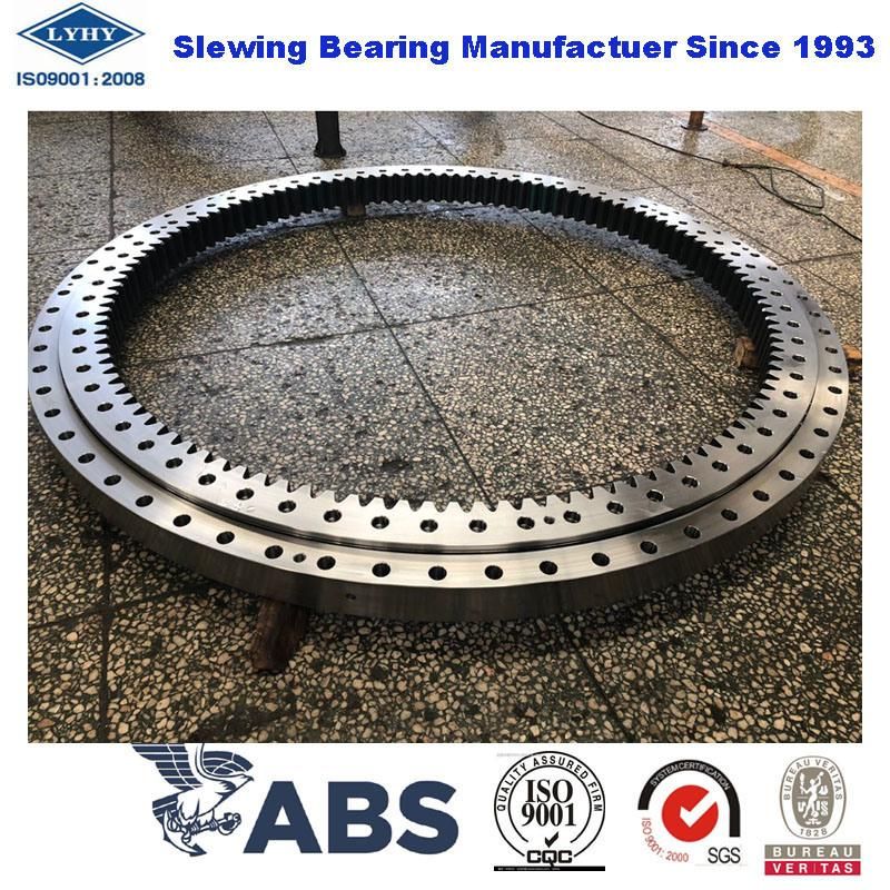 Single Row Ball Slewing Bearing Slewing Ring Bearings Turntable Bearings with Internal Gear VI095A01