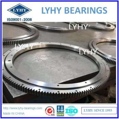 Slewing Bearings Ring Bearings Gear Bearings Turntable Bearings Slewing Ring Bearings 231.21.0975.013