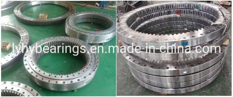 Torriani Gianni (TG) Single Row Ball Slewing Ring Bearing (E. 1100.25.00. B)