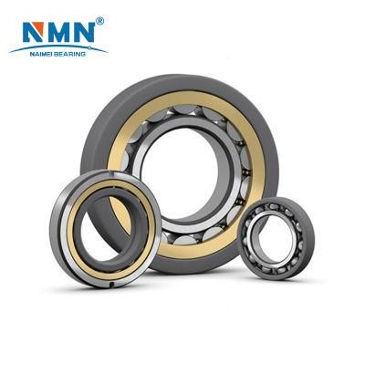 Chinese 10X26X8mm Double Rubber Seal Deep Groove Ball Bearing 6100RS Bearing