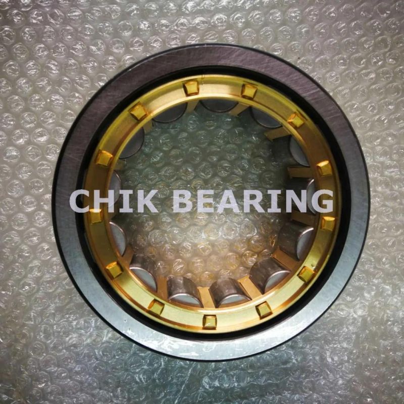 High Load Capacity Single Row Cylindrical Roller Bearings (NJ1013)