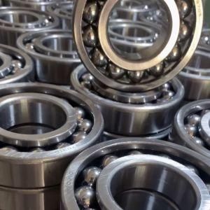 High Temperature Deep Groove Bearing 970310 for Waste Disposal