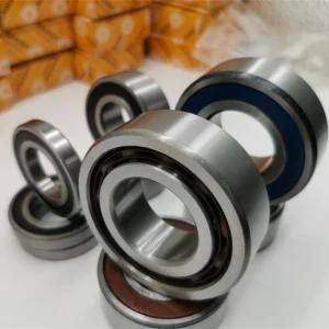 Double-Row Angular Contact Ball Bearing with One Side Shielded 305256D for Cycloidal Gear Reducer