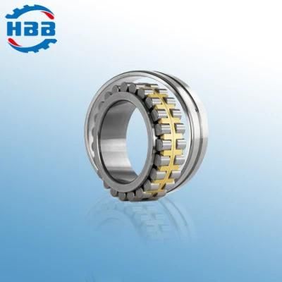 480mm Nnu4096 4482196 Double Rows Cylindrical Roller Bearing