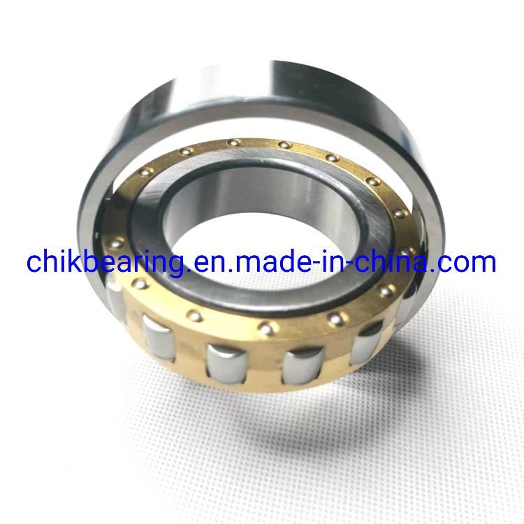 Roller Bearing Srv. 20205 Ktn9/C3 Srv. 20205 Tn9 20205-Tvp 20205ca/W33 Single Row Spherical Roller Bearing 20206 20207 20208 20209 20210 with High Quality
