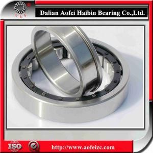 Cylindrical Roller Bearing (NU224E N224E NF224E NJ224E NUP224E)