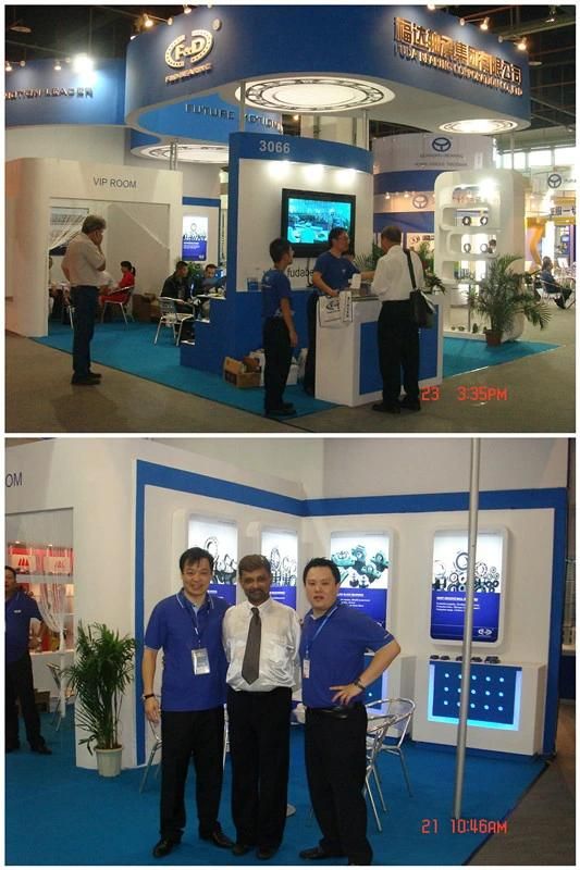 High quality roller ball bearings 6002 ZZ 2RS